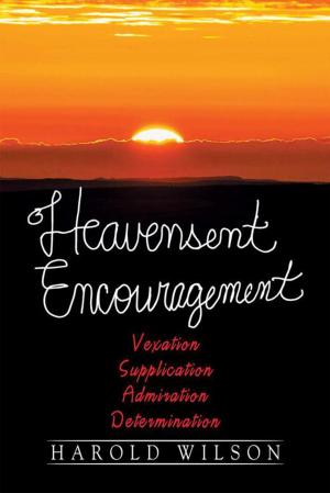 Book cover of Heavensent Encouragement