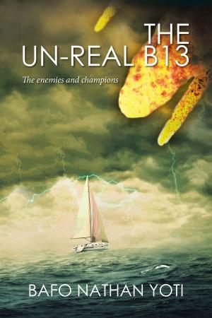 Cover of the book The Un-Real B13 by David Pardo