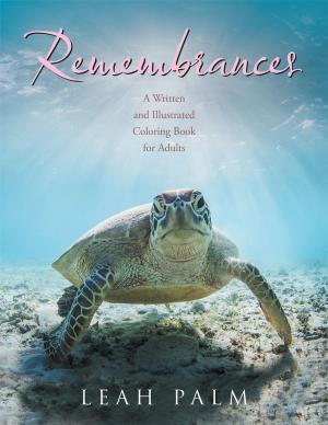 bigCover of the book Remembrances by 