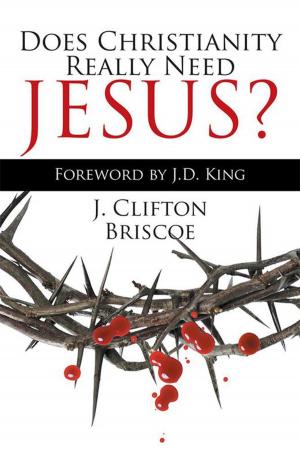 Cover of the book Does Christianity Really Need Jesus? by Naomi Bubeck Tuttle