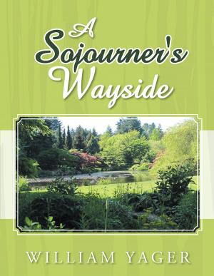 Cover of the book A Sojourner's Wayside by DJ Power