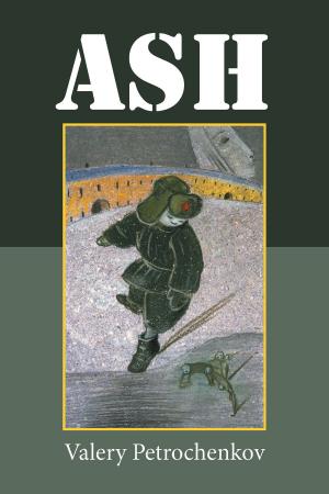 Cover of the book Ash by Elsa M. Spencer