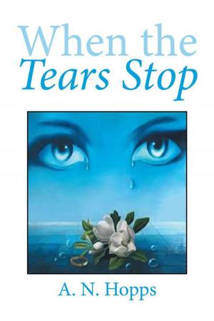 Cover of the book When the Tears Stop by Rina ‘Fuda’ Loccisano