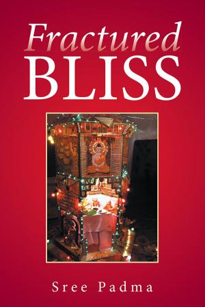 Book cover of Fractured Bliss