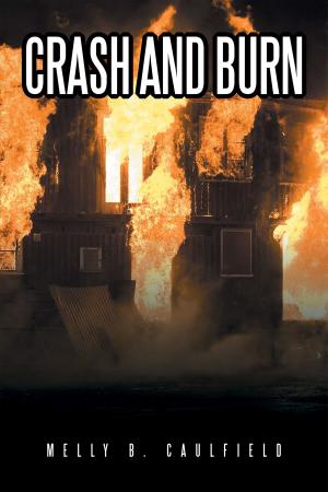 Cover of the book Crash and Burn by RM Ullrich