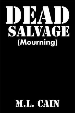 Cover of the book Dead Salvage by Bruce H. Joffe