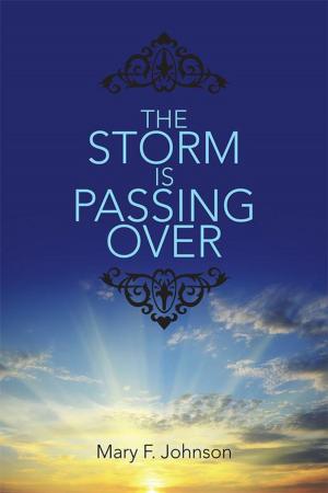 Cover of the book The Storm Is Passing Over by Claudine L. Boros, Leslie Louis Boros
