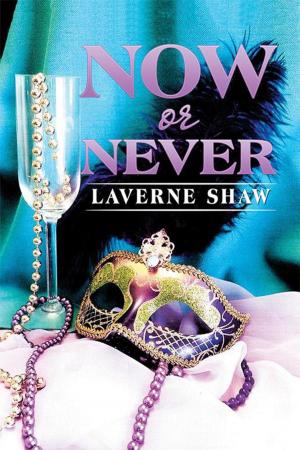 Cover of the book Now or Never by Misha Hikaru, Michael Wonderguy