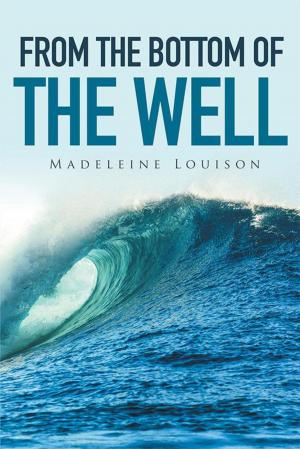 Cover of the book From the Bottom of the Well by Sherrie E. Tutt