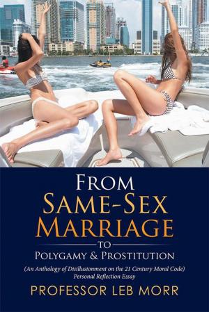 Cover of the book From Same-Sex Marriage to Polygamy & Prostitution by Malio Valente