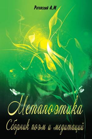 Cover of the book МетаПоэтика by Deborah Anderson