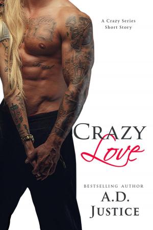 Book cover of Crazy Love: A Crazy Series Short Story