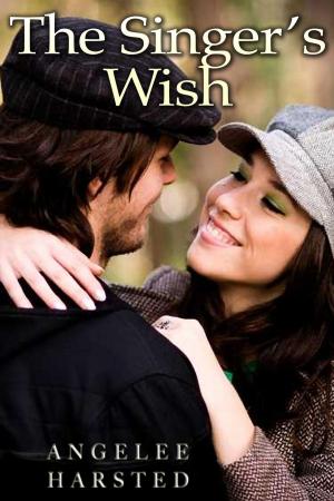 bigCover of the book The Singer's Wish by 