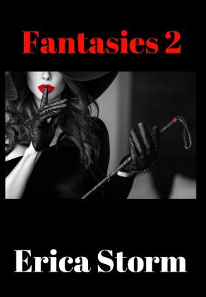 Book cover of Fantasies 2