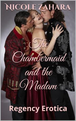 Cover of the book The Chambermaid and the Madam by Katherine Woodbury
