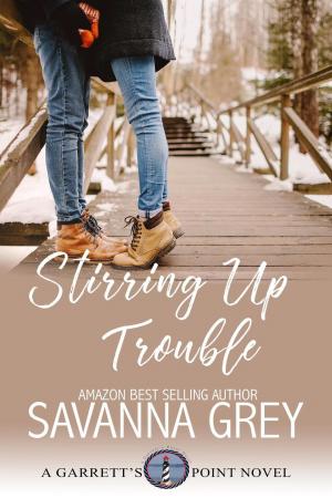bigCover of the book Stirring Up Trouble by 