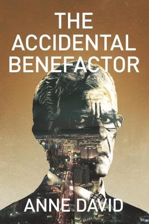 Cover of the book The Accidental Benefactor by H.A. Hargreaves