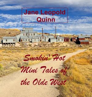 Cover of the book Smokin' Hot Mini Tales of the Olde West by Jane Leopold Quinn