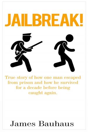 Book cover of Jailbreak!