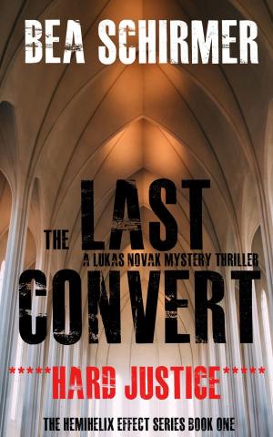 Cover of the book The Last Convert - Hard Justice by Gérard de Villiers
