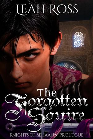 Cover of the book The Forgotten Squire by Lynn Michaels