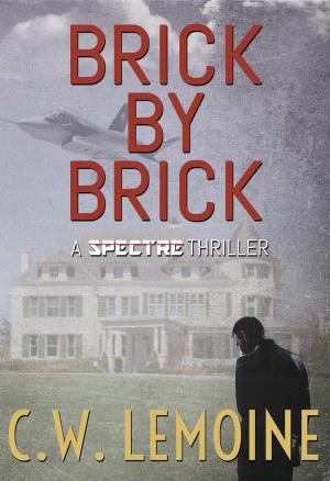 Book cover of Brick By Brick