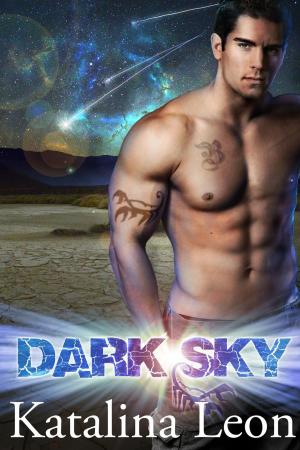 Cover of the book Dark Sky by Katheryn Lane