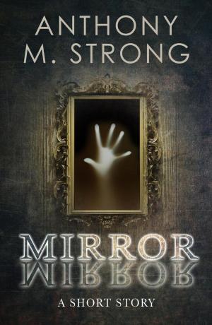 Cover of the book Mirror Mirror by Phillip J Tucker