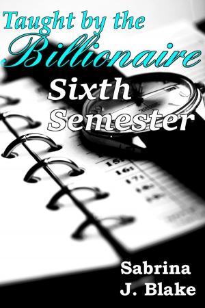 Cover of the book Sixth Semester by Eva van Mayen