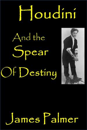 Cover of the book Houdini and the Spear of Destiny by Marisa Dewa