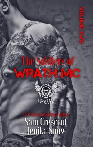 Cover of The Soldiers of Wrath Box-Set: Volume 2