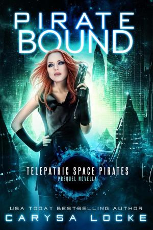 Cover of the book Pirate Bound by Lory La Selva Paduano