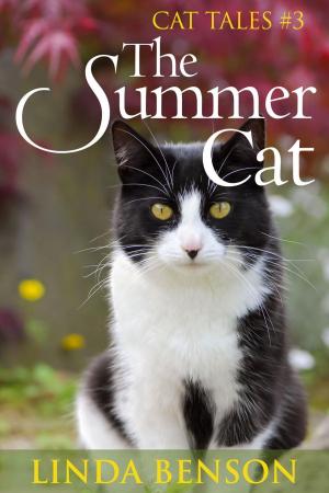 Book cover of The Summer Cat