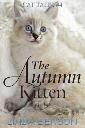 Book cover of The Autumn Kitten