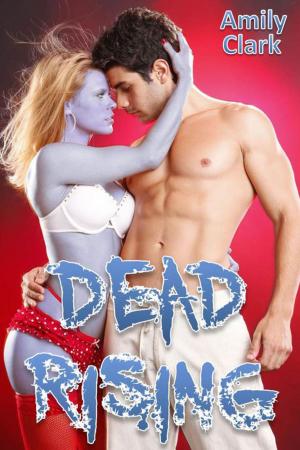 Book cover of Dead Rising