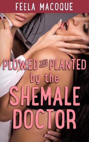 Book cover of Plowed and Planted by the Shemale Doctor