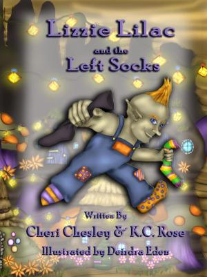 Book cover of Lizzie Lilac and the Left Socks