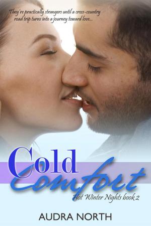 Cover of the book Cold Comfort by Jamallah Bergman
