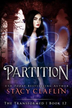 Cover of the book Partition by Mindy Klasky