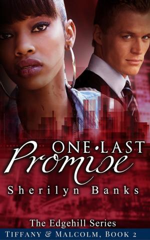 Book cover of One Last Promise: Tiffany & Malcolm, Book, #2