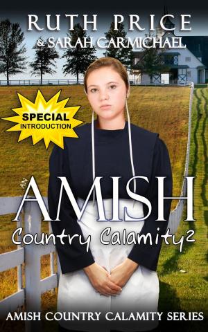 Book cover of An Amish Country Calamity 2