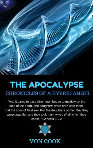 Cover of the book The Apocalypse - Chronicles of a Hybrid Angel by Anne Kinsey
