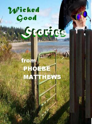 Book cover of Wicked Good Stories