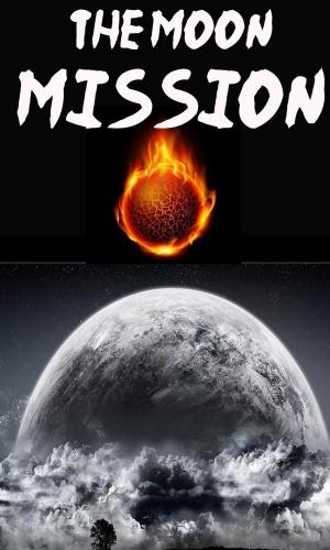 Book cover of The Moon Mission : Book 1: The Stone
