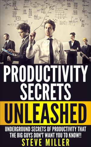 Cover of the book Productivity Secrets Unleashed : Underground Secrets of Productivity That The Big Guys Don't Want You To Know by J. Michael Smith