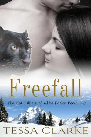 Cover of the book Freefall by N.P.  Katedza