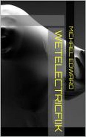 Cover of the book wetelectricfuck by M.E. Purfield