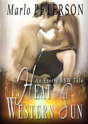 Cover of the book Heat of the Western Sun by Janice Lane Palko