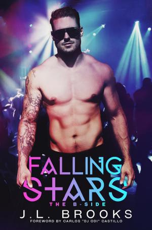 Cover of the book Falling Stars (The B Side) by Dina Marie