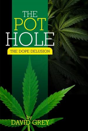 Book cover of The Pot Hole